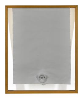 Giuseppe Penone - Untitled