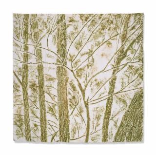 Giuseppe Penone - Verde nel bosco