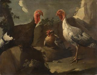 Giuseppe Romani - Tacchini