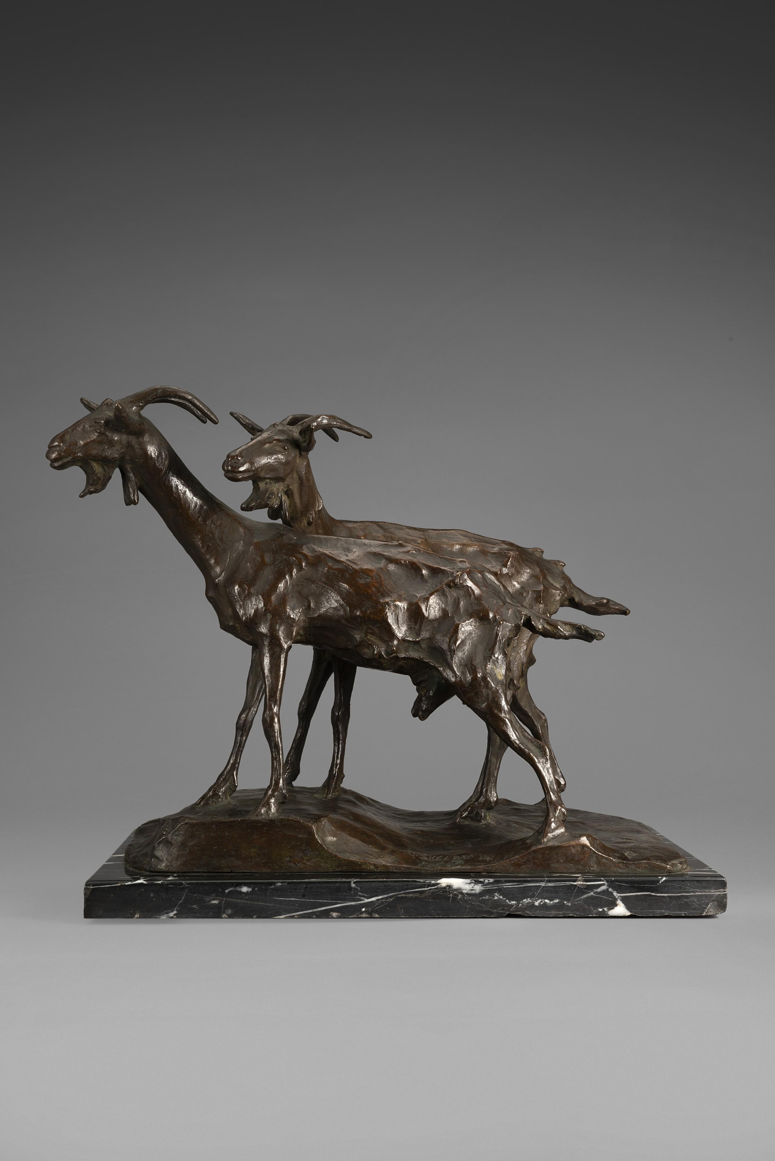 Giuseppe Siccardi - Caprette