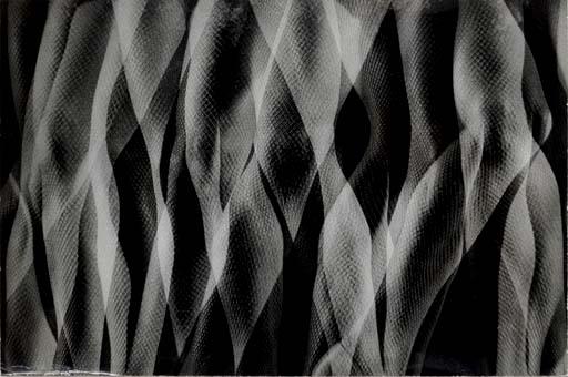 Gjon Mili - Legwork: Tap Dancer Betty Bruce, 1942