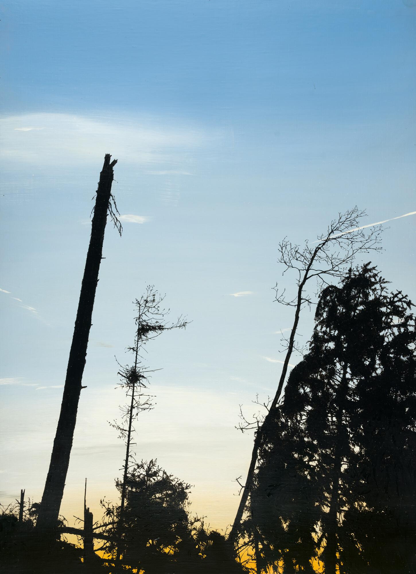 Glen Rubsamen - „Please let my affections lead me into danger – Lothar #3“