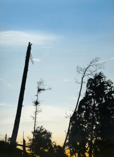 Glen Rubsamen - „Please let my affections lead me into danger – Lothar #3“