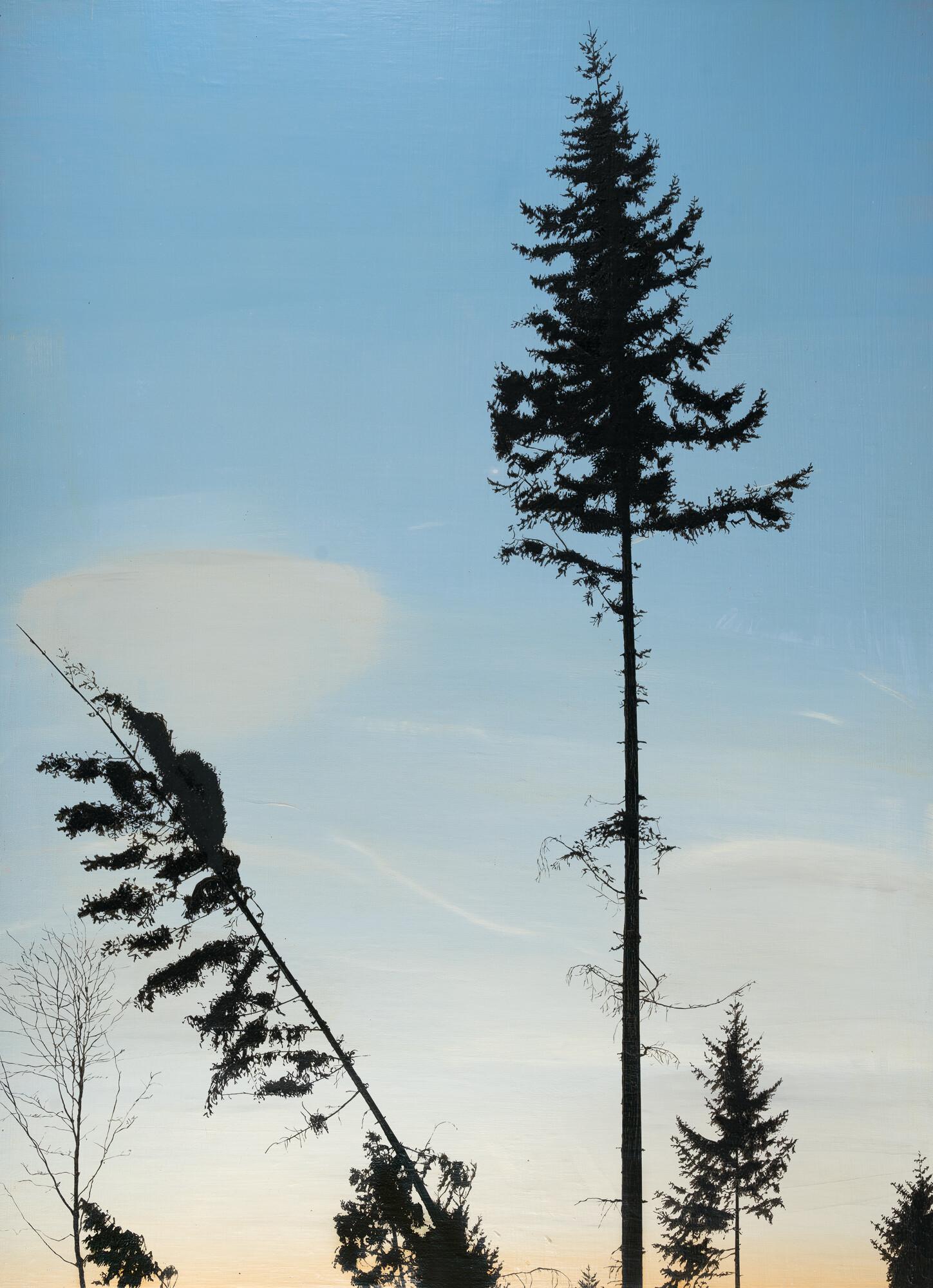 Glen Rubsamen - „Please let my affections lead me into danger – Lothar #7“