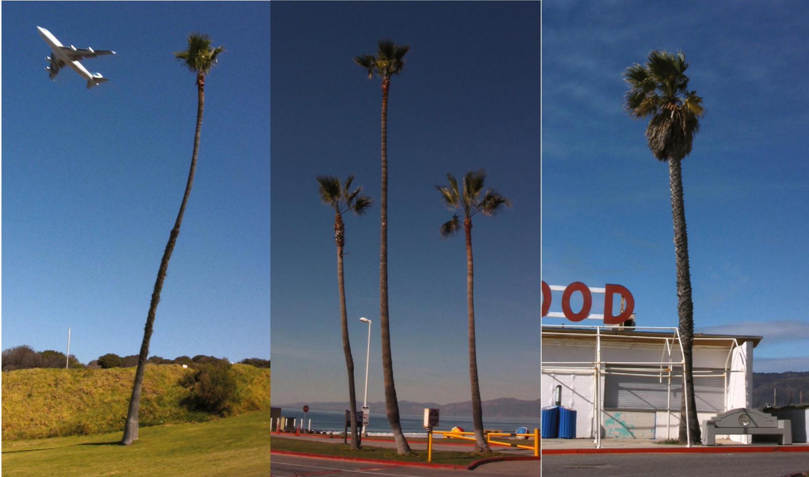 Glen Rubsamen - Southbay