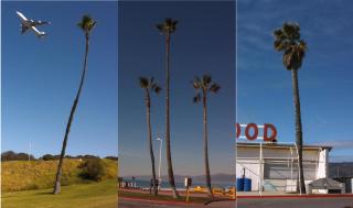 Glen Rubsamen - Southbay