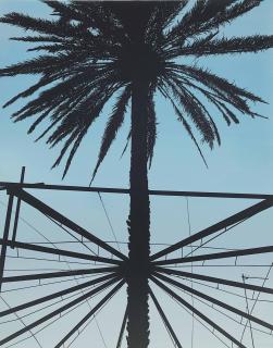 Glen Rubsamen - Time Blossomed And Matter Shrank Away