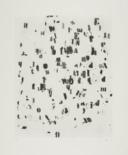 Glenn Ligon - Draft