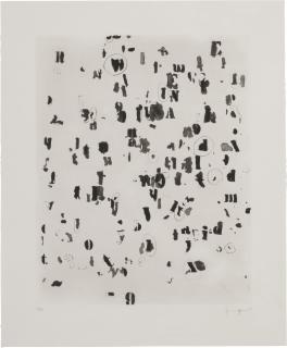 Glenn Ligon - Draft