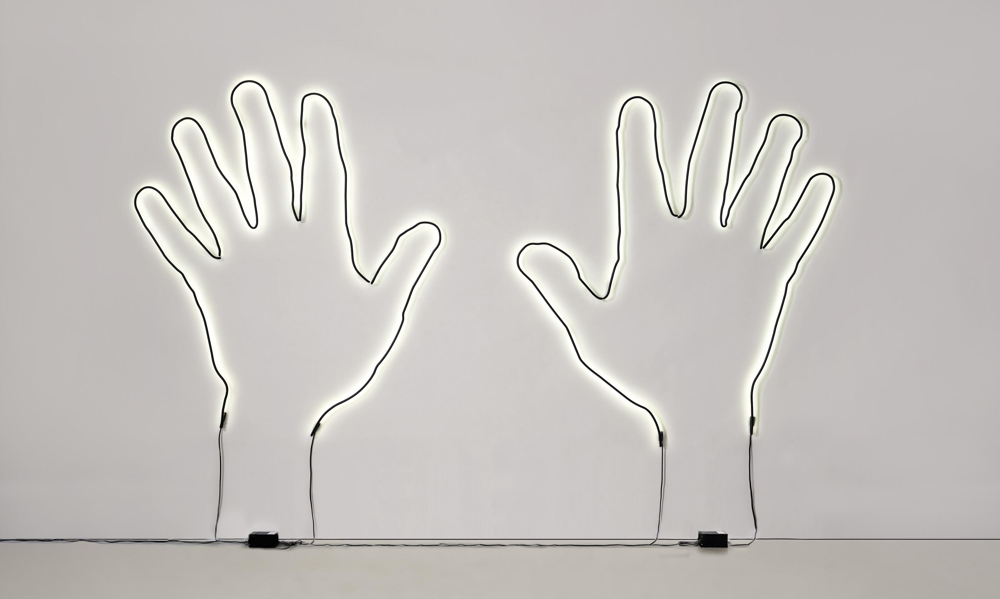 Glenn Ligon - Notes for a Poem on the Third World (chapter one)