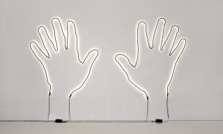 Glenn Ligon - Notes for a Poem on the Third World (chapter one)