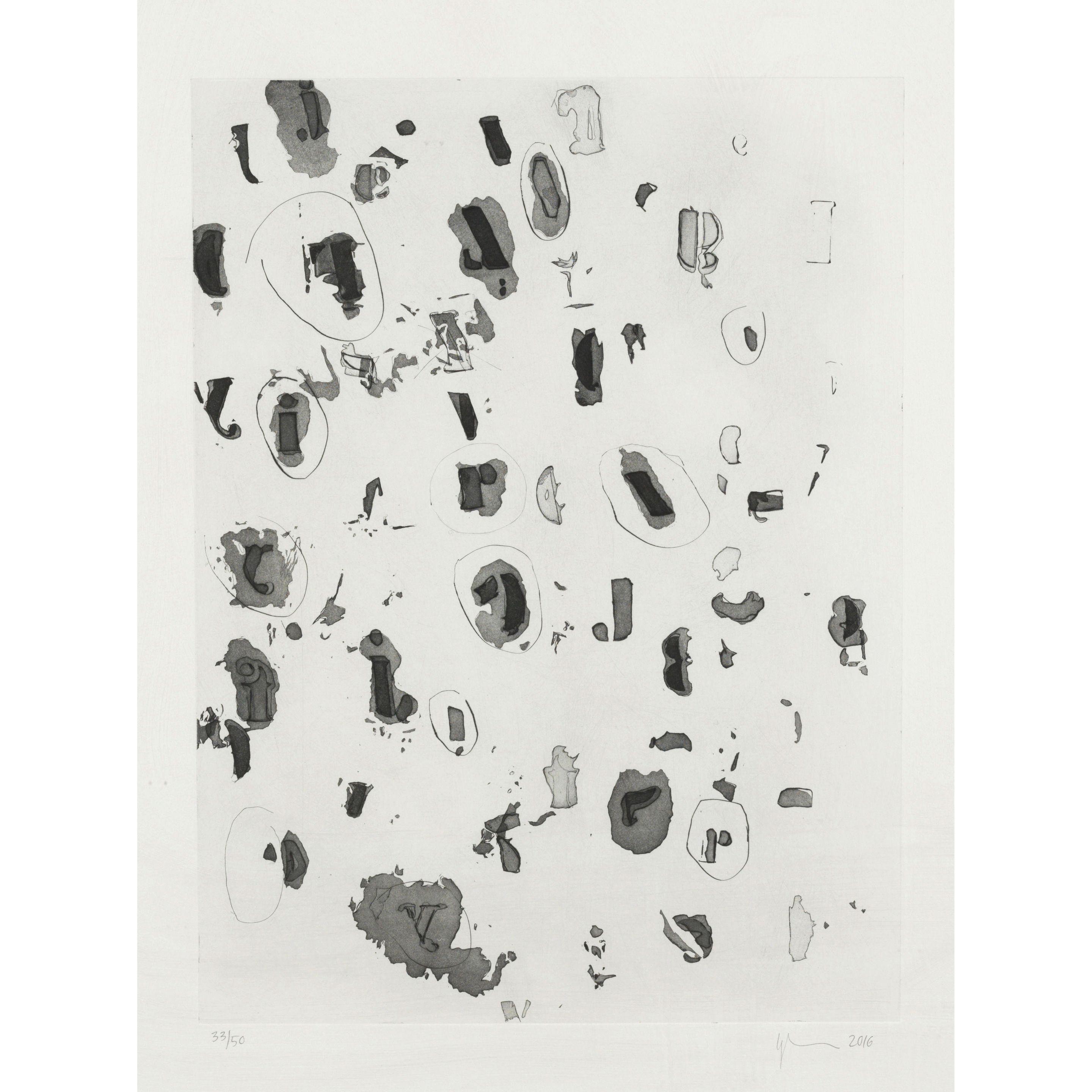 Glenn Ligon - Some Circled, Some Not