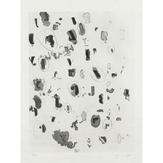 Glenn Ligon - Some Circled, Some Not