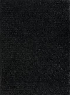 Glenn Ligon - Stranger #27