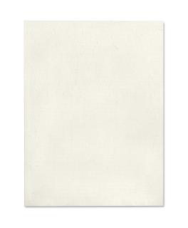 Glenn Ligon - Stranger #37