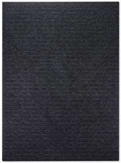 Glenn Ligon - Stranger #75