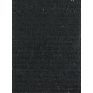 Glenn Ligon - Study For White Series