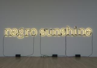 Glenn Ligon - Warm Broad Glow