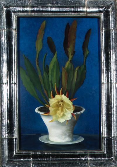 Gluck - Flowering cactus