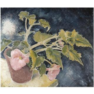Glyn Philpot, R.A. - The Pink Begonia