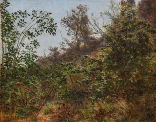 Godfred Christensen - Dickicht am Berghang.