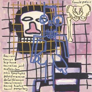 Gordon Bennett - Notes to Basquiat: Female Pelvis