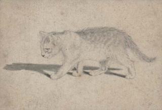 Gottfried Mind - Study of A Cat