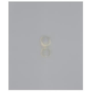 Gotthard Graubner - Kauri Blau