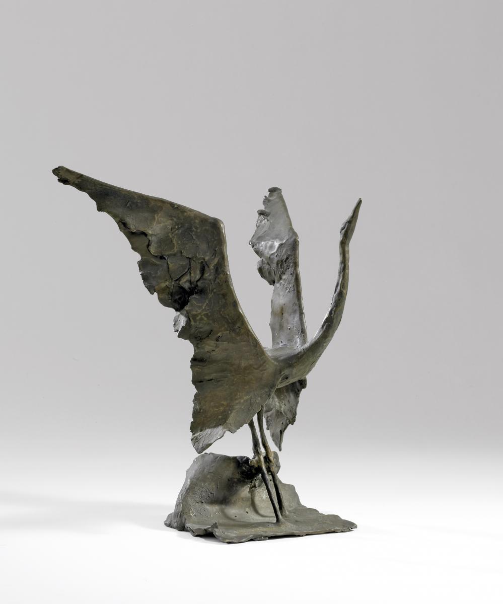 Gotthelf Schlotter - Reiher