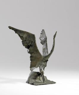 Gotthelf Schlotter - Reiher