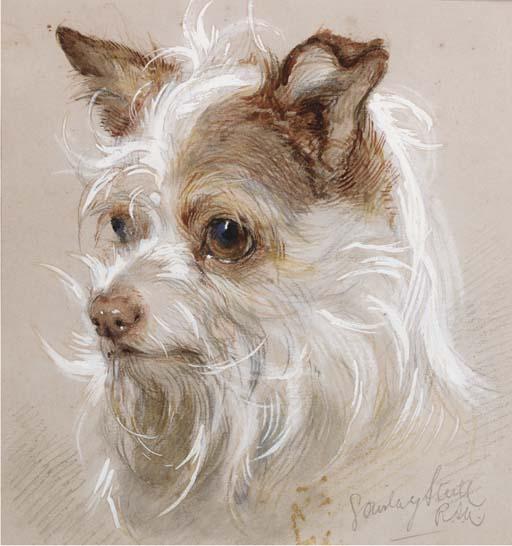 Gourlay Steell, R.S.A. - Mite, a terrier