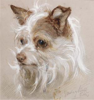 Gourlay Steell, R.S.A. - Mite, a terrier