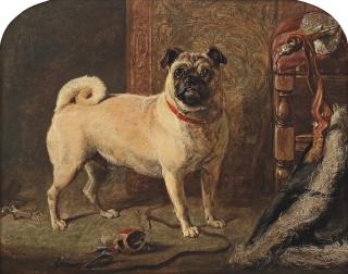 Gourlay Steell RSA - A Celebrated Pug from Mrs Carrick-Buchanan\'s Drumpellier Kennels