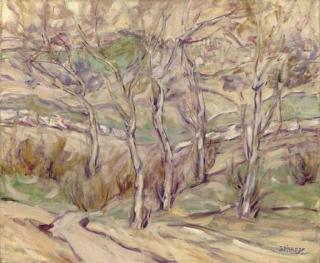 Grace Henry - The Mystery of the Fields