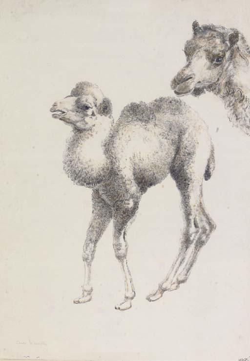 Grace Wheatley, R.W.S., R.B.A. - The little camel