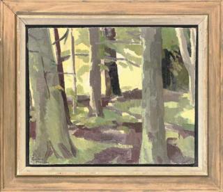 Graham Murray - Sunlight and shadow