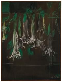 Graham Sutherland, O.M. - Datura Flowers