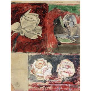 Graham Sutherland, O.M. - Rose Studies