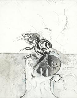 Graham Sutherland O.M. - Study for Hatching I