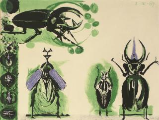 Graham Sutherland - Beetles I, from A Bestiary and Some Correspondences (Tassi 82)
