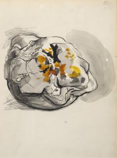 Graham Sutherland - Pagina di sketch-book