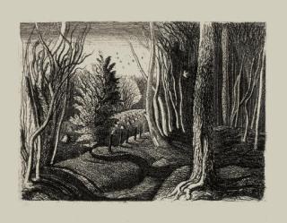 Graham Sutherland - Wood Interior (Mann 32)