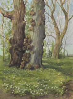 Grand Duchess Olga - Landscape With Knotted Trees