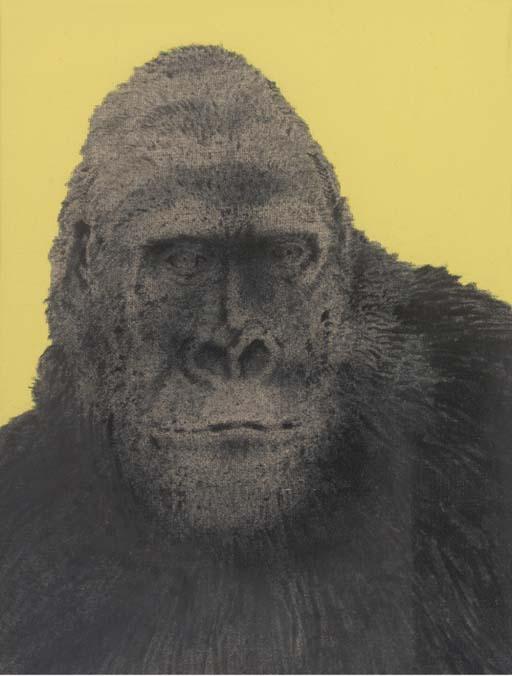 Grant Kennedy - Gorilla