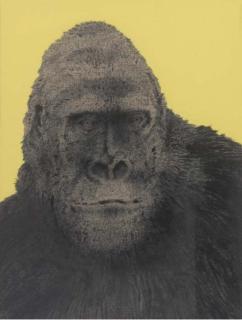 Grant Kennedy - Gorilla