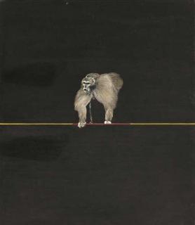 Grant Kennedy - Rhesus Monkeys