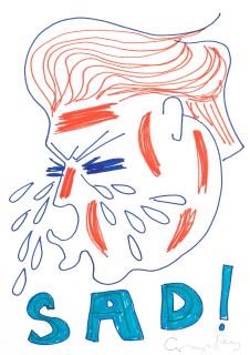 Grayson Perry - SAD!, 2017