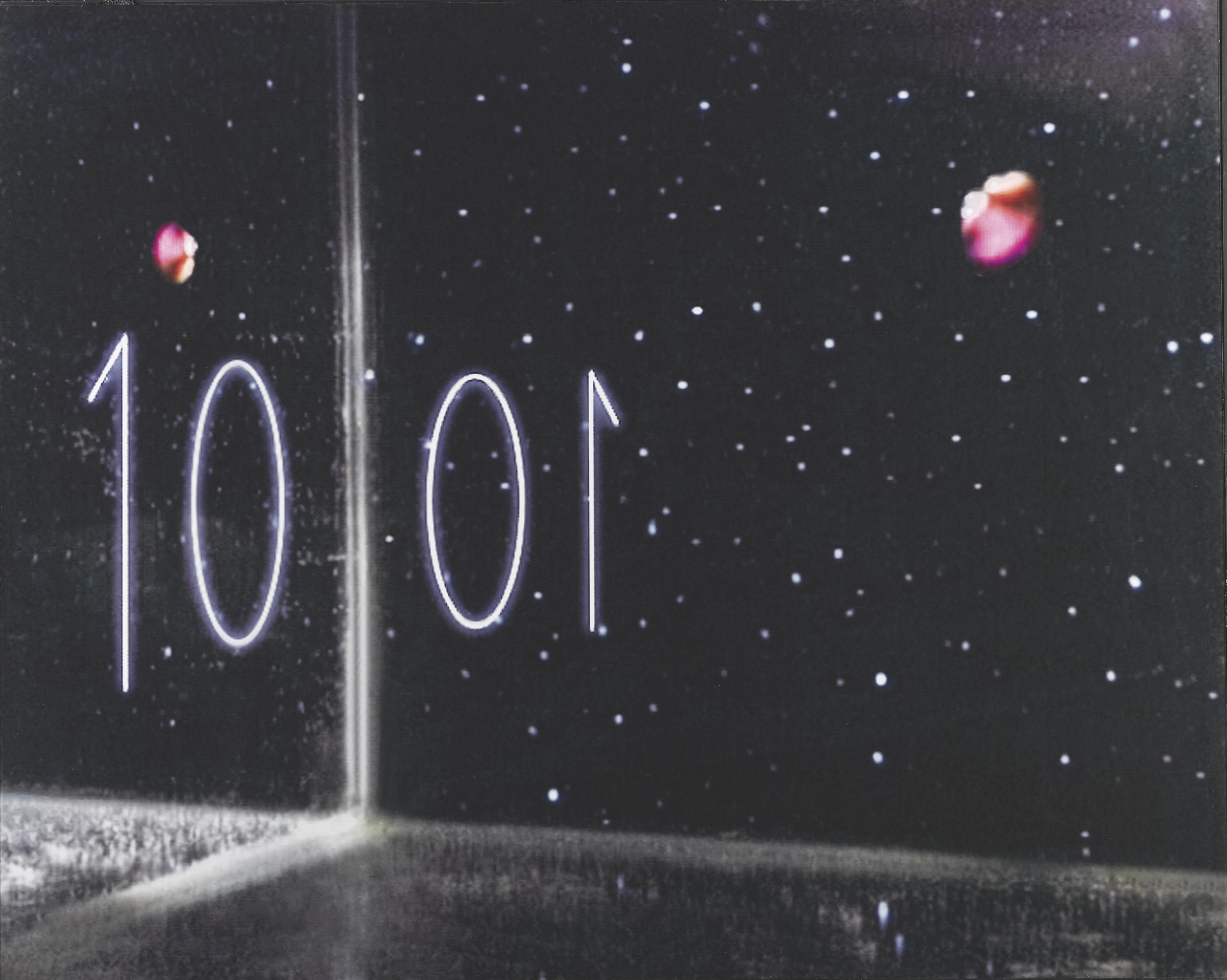 Grazia Toderi - Il Fiore Delle 1001 Notti