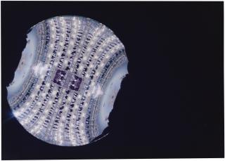 Grazia Toderi - Semper Eadem