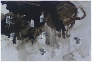 Greg Colson - Octopus Connections